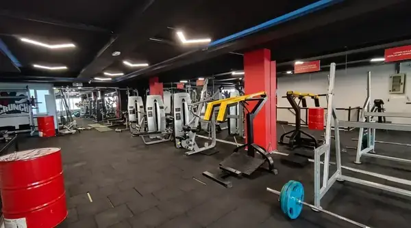 Fitness & Vücut Geliştirme