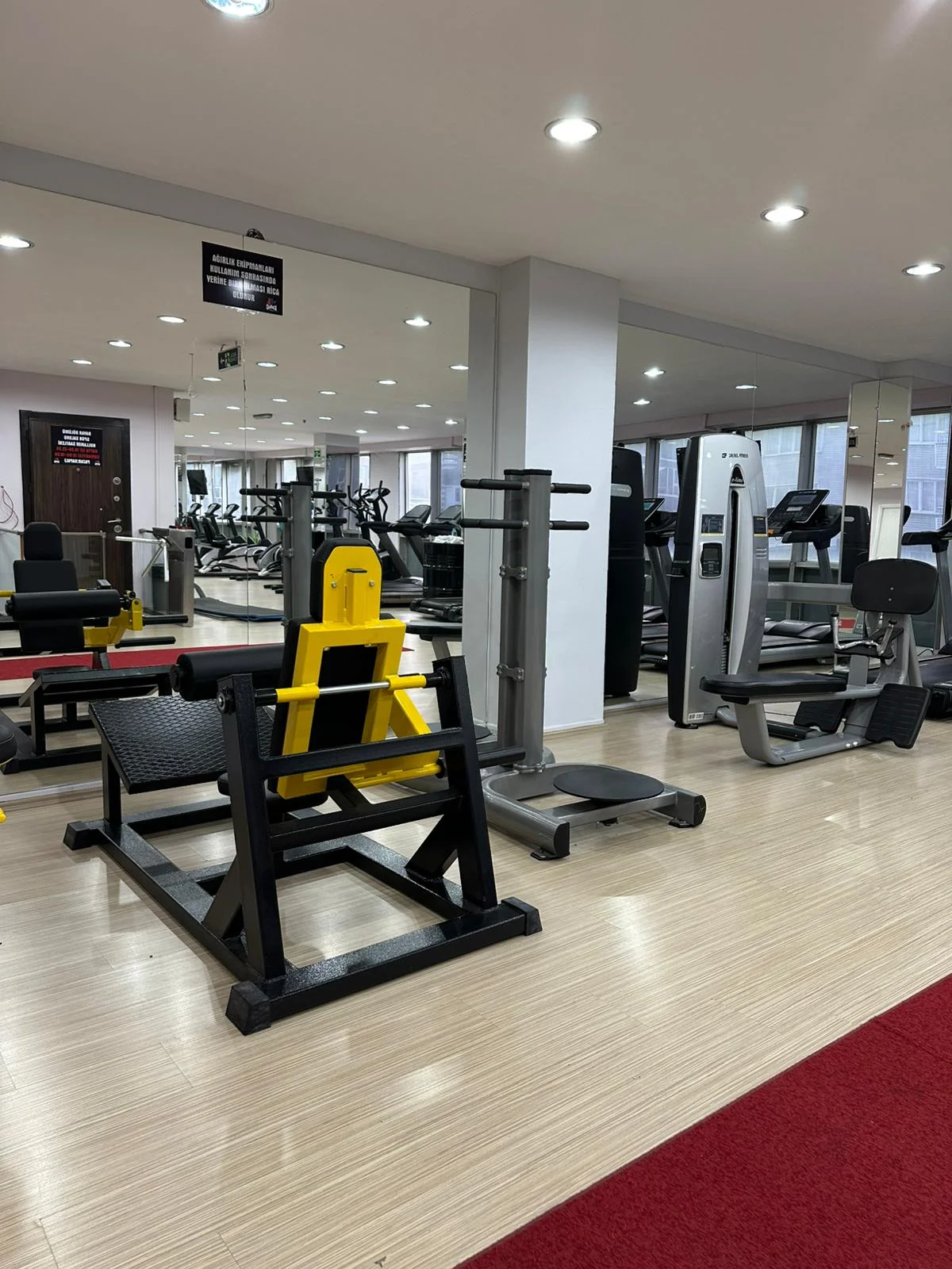 Kadınlar Katı Serbest Ağırlık